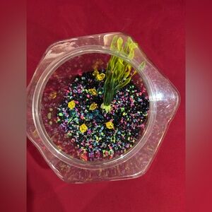 Colorful Fish Bowl with Decorative Pebbles